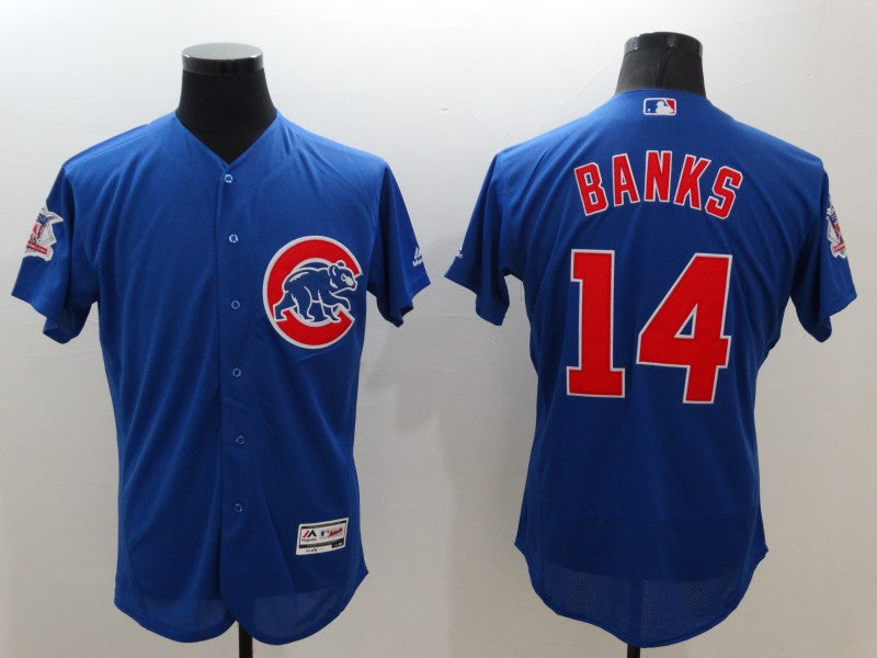 Adult Chicago Cubs Ernie banks NO.14 baseball Jerseys mySite