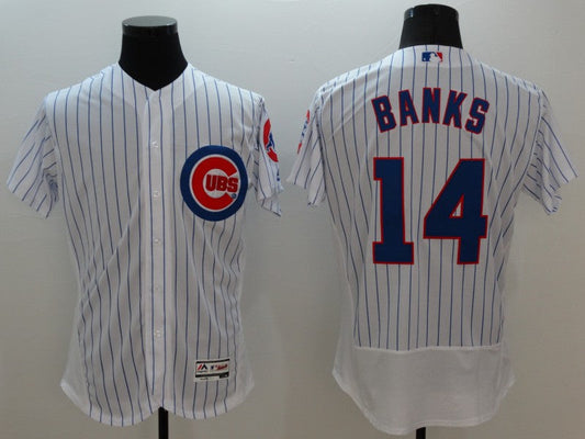 Adult Chicago Cubs Ernie banks NO.14 baseball Jerseys mySite