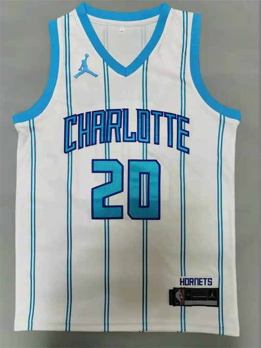 Charlotte Hornets Gordon Hayward NO.20 Basketball Jersey mySite