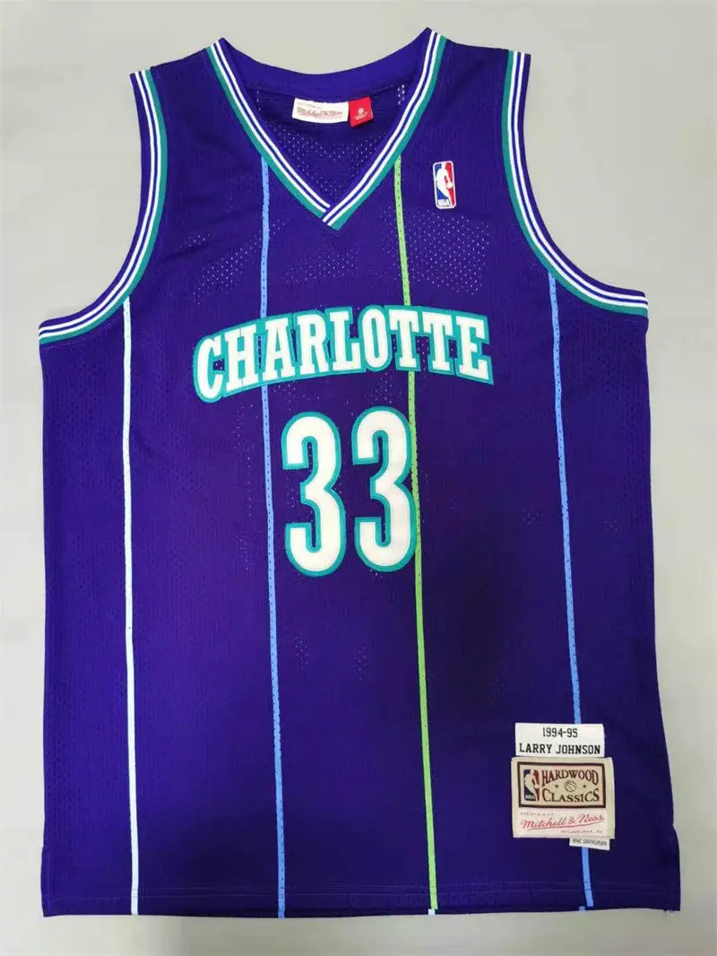 Charlotte Hornets Alonzo Mourning NO.33 Basketball Jersey mySite